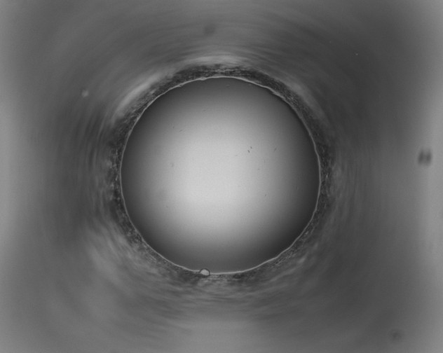 X0000114170967200910081518