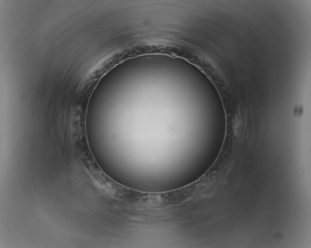 X0000114170968200910081518