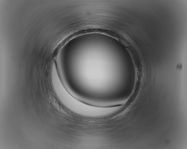 X0000114170969200910081518