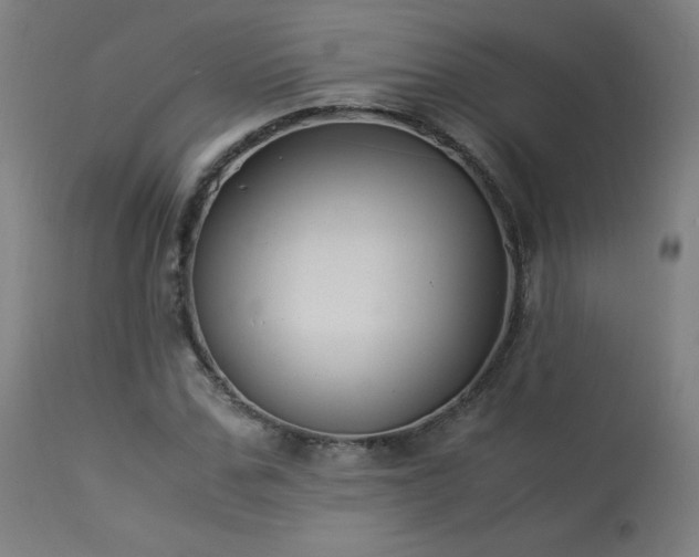 X0000114170971200910081518