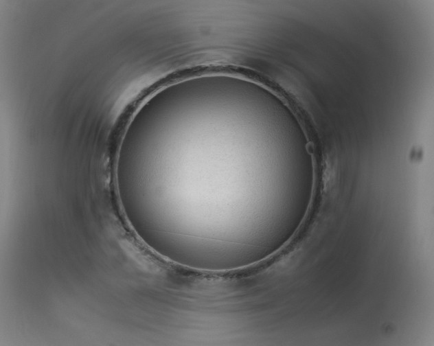 X0000114170973200910081518