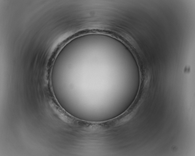 X0000114170974200910081518