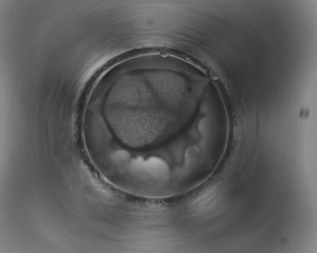 X0000114170975200910081518