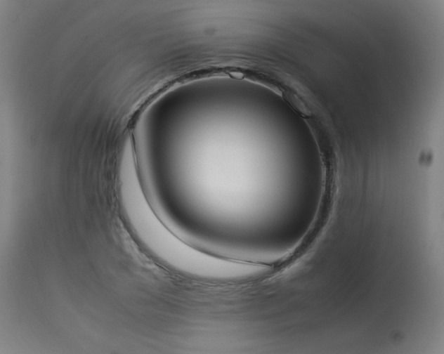 X0000114170977200910081518