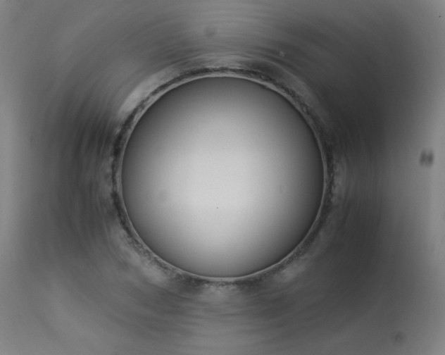 X0000114170978200910081518