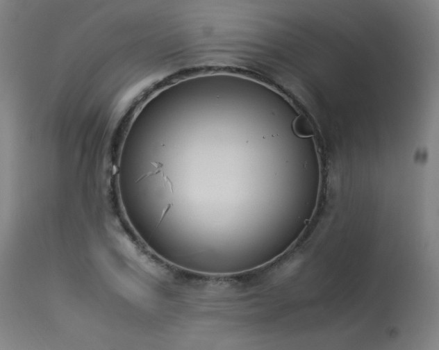 X0000114170979200910081518