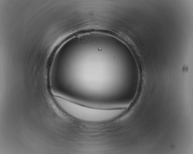 X0000114170981200910081518