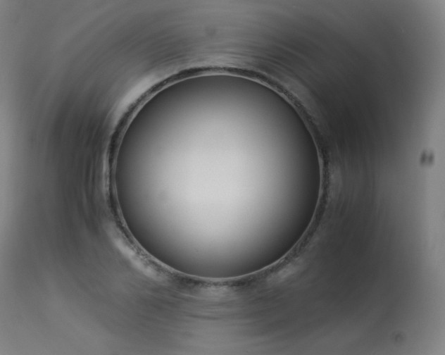 X0000114170982200910081518