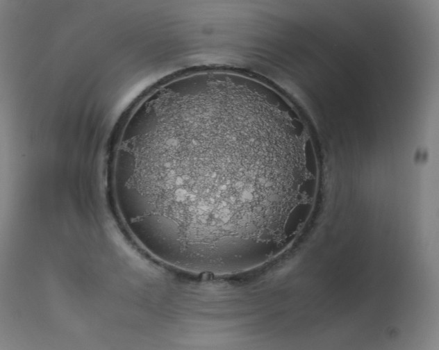 X0000114170983200910081518