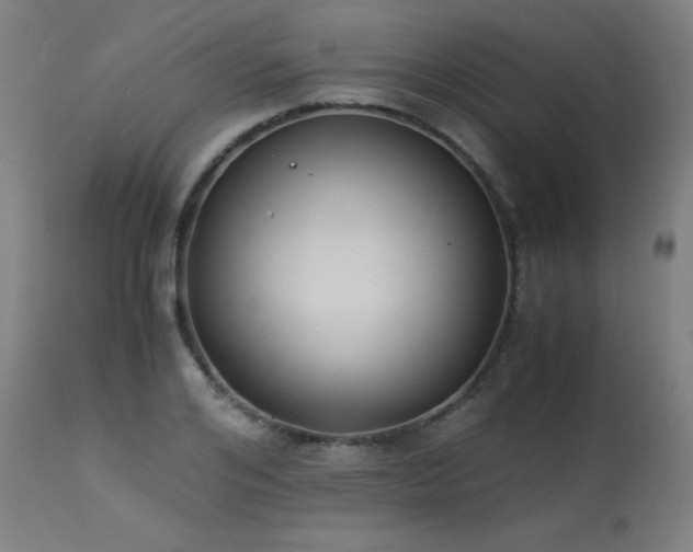 X0000114170984200910081518