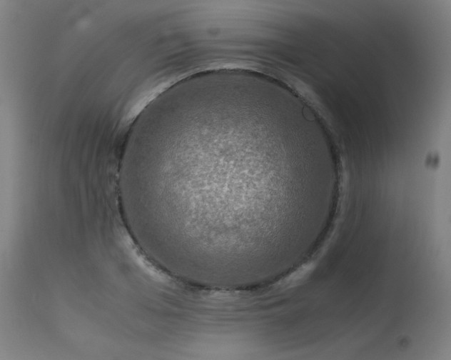 X0000114170985200910081518