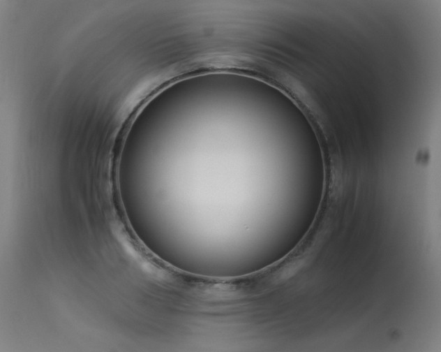 X0000114170986200910081518