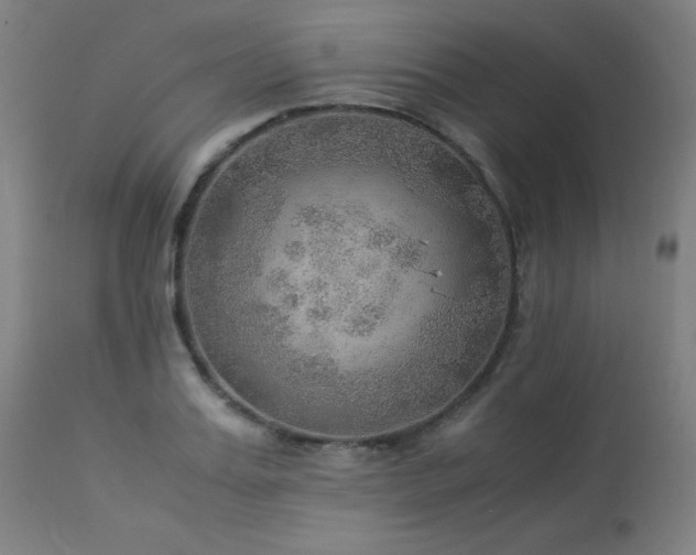 X0000114170987200910081518