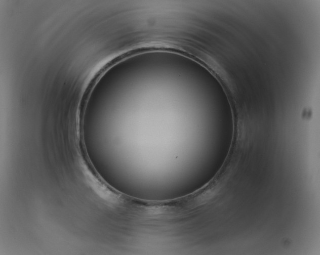 X0000114170988200910081518