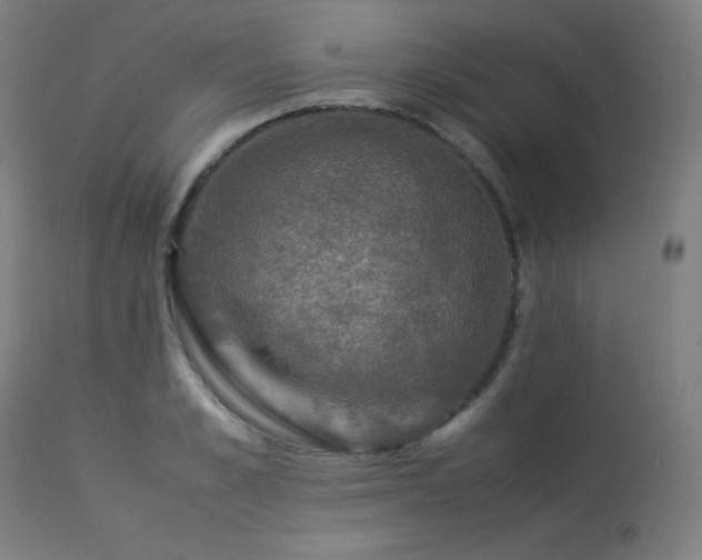 X0000114170989200910081518