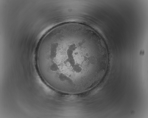 X0000114170991200910081518