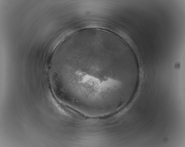 X0000114170993200910081518