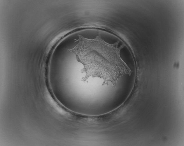 X0000114170995200910081518