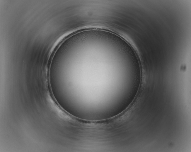 X0000114170996200910081518