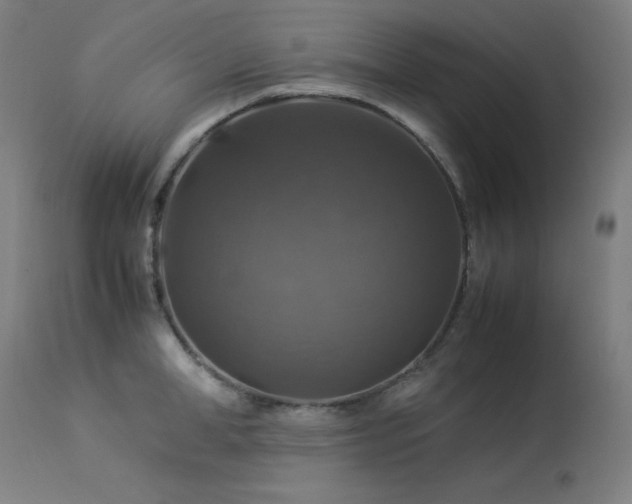 X0000114170998200910081518