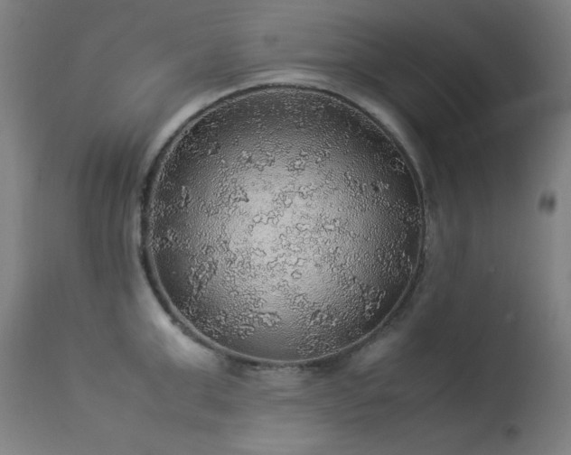 X0000114170999200910081518