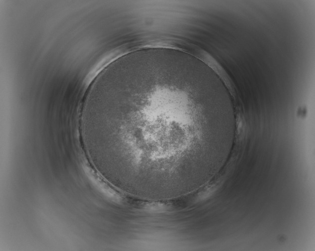 X0000114171002200910081518
