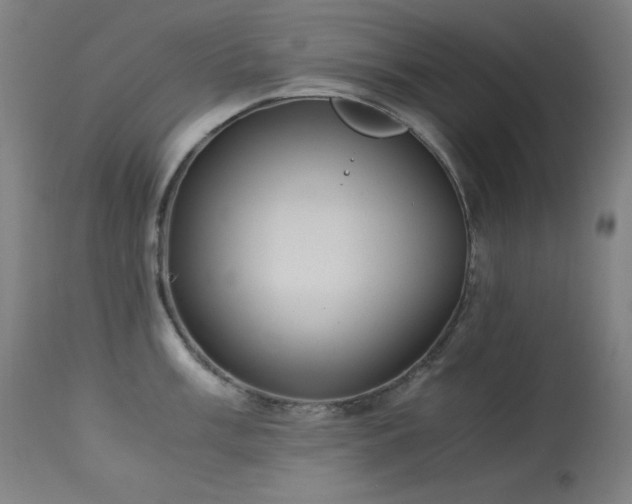 X0000114171003200910081518
