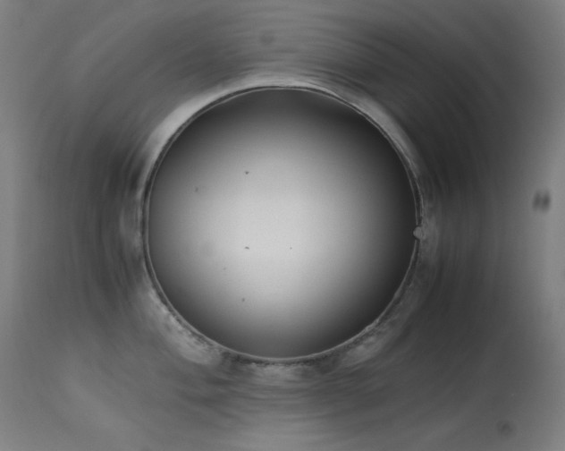 X0000114171004200910081518