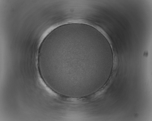 X0000114171005200910081518