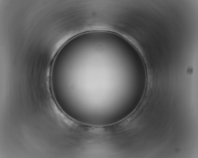 X0000114171006200910081517