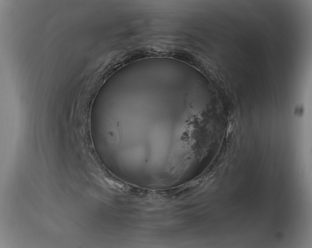 X0000114171009200910081517