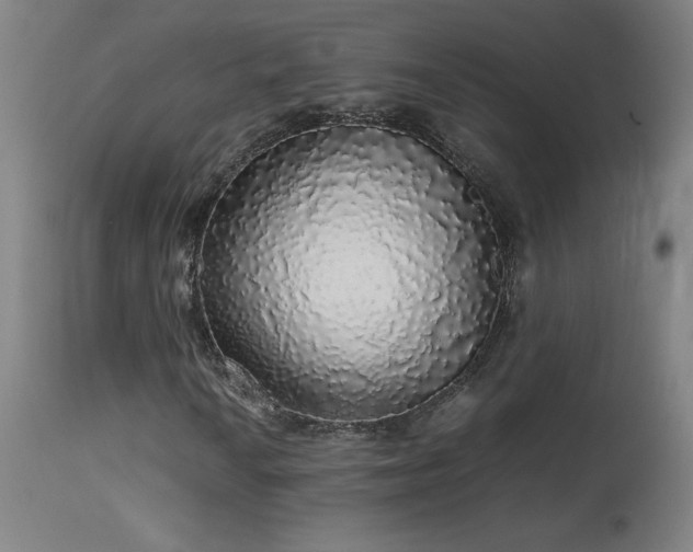 X0000114171010200910081517