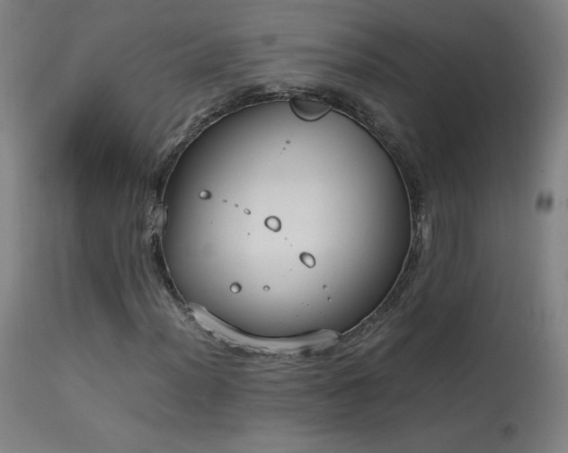 X0000114171012200910081517