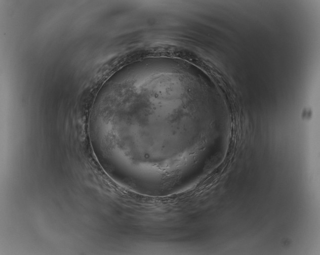 X0000114171013200910081517