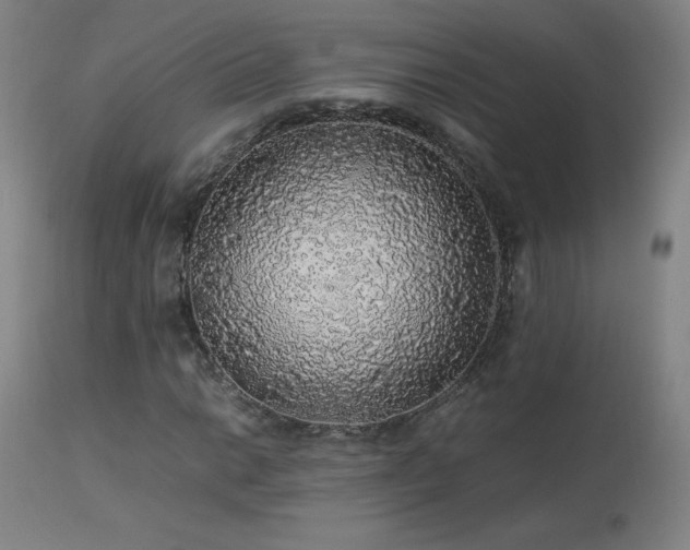 X0000114171014200910081517