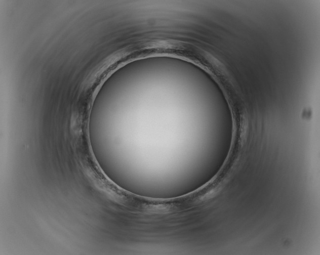 X0000114171017200910081517