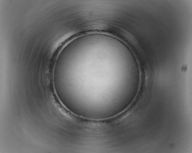 X0000114171018200910081517