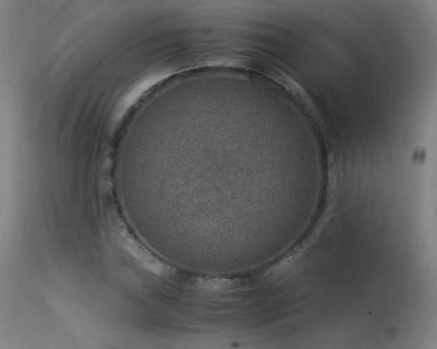 X0000114171019200910081517