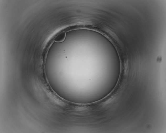 X0000114171021200910081517