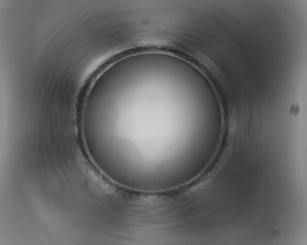 X0000114171022200910081517