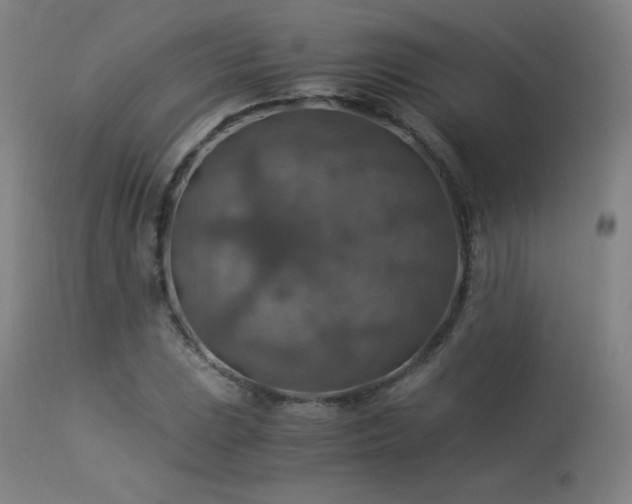 X0000114171023200910081517