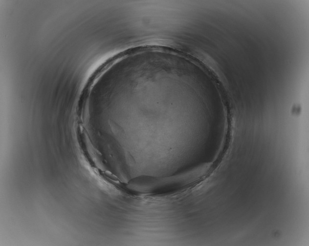 X0000114171024200910081517