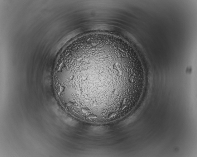 X0000114171025200910081517