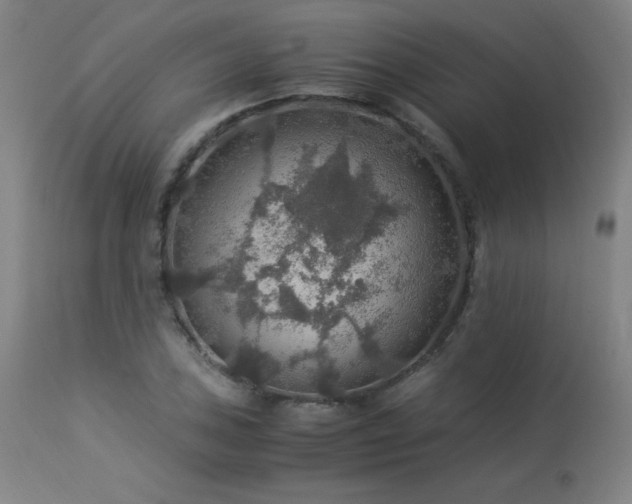 X0000114171027200910081517