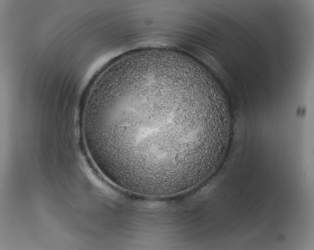 X0000114171030200910081517