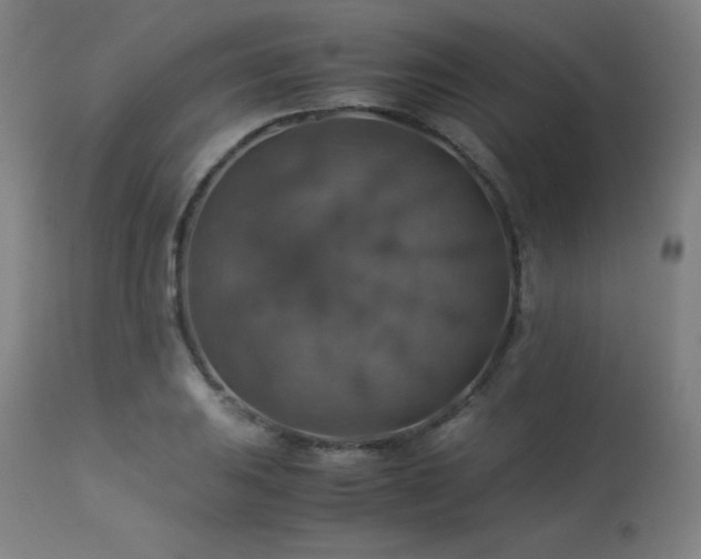 X0000114171031200910081517