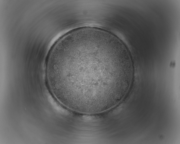 X0000114171032200910081517