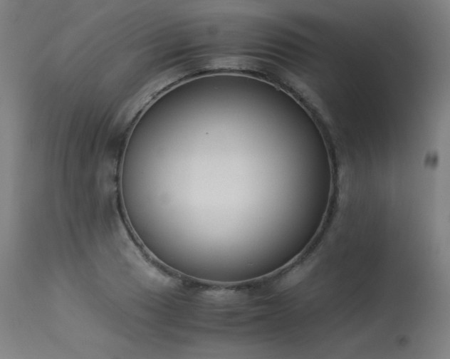 X0000114171033200910081517