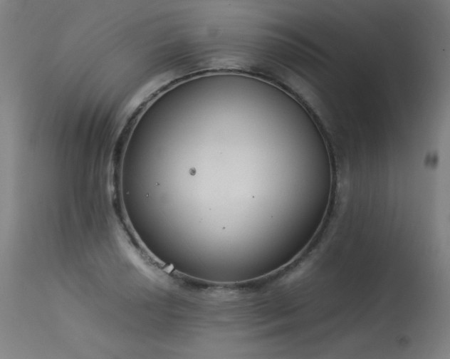 X0000114171034200910081517