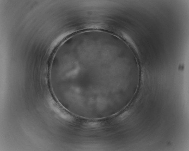 X0000114171035200910081517